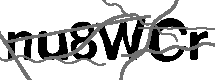 Loading CAPTCHA Image...